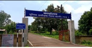 Screenshot 20250206 160006 WhatsApp2