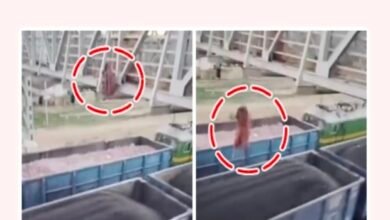 रेलवे ओवरब्रिज से महिला ने चलती मालगाड़ी पर लगाई छलांग, मंजर देख दहल उठे लोग 13 Screenshot 2025 0218 101357