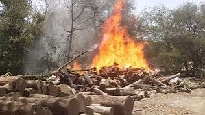 यश भारत ब्रेकिंग : माधवनगर में लकड़ी टाल में लगी भीषण आग, लाखों का नुकसान 2 download 2