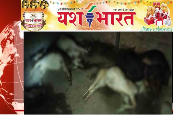 भारत 2025 02 05T082047.806