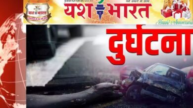 भारत 25