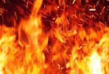 Screenshot 2025 02 28 09 00 38 554 com.miui .gallery