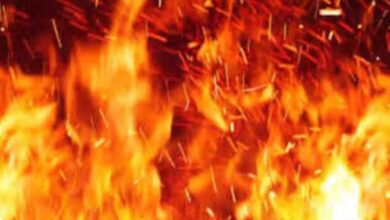 Screenshot 2025 02 28 09 00 38 554 com.miui .gallery