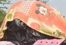 Screenshot 2025 03 01 22 18 35 841 com.miui .gallery