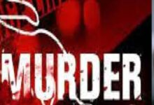 Screenshot 2025 03 02 17 29 52 353 com.miui .gallery 1