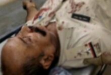 Screenshot 2025 03 16 08 54 41 158 com.miui .gallery