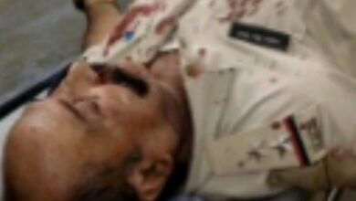 Screenshot 2025 03 16 08 54 41 158 com.miui .gallery