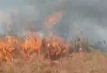 Screenshot 2025 03 26 22 49 16 884 com.whatsapp