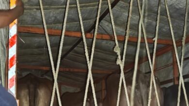 Screenshot 2025 03 27 13 46 26 672 com.whatsapp