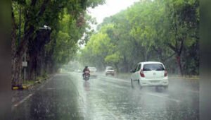 कटनी समेत आधे एमपी में 3 दिन होगी बारिश, जबलपुर- ग्वालियर संभाग में तेज आंधी-बारिश 2 images 31 3