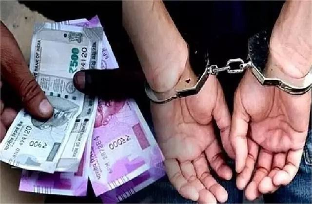 लोकायुक्त कि कार्यवाही : 2 हजार की रिश्वत लेते पटवारी को किया गिरफ्तार 1 images5 1