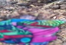 भारत 2025 03 02T234004.887