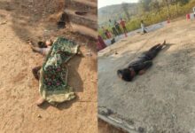 भारत 2025 03 04T022945.667