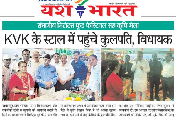 भारत 6 1