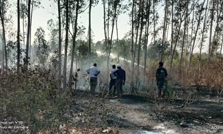 मनेरी औद्योगिक क्षेत्र में यूकेलिप्टस प्लांट में लगी आग : लगभग डेढ़ एकड़ क्षेत्र में फैली रही आग 1 IMG 20250423 WA0086