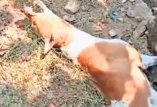 Untitled 3 copy.jpg kutaaaaaaa