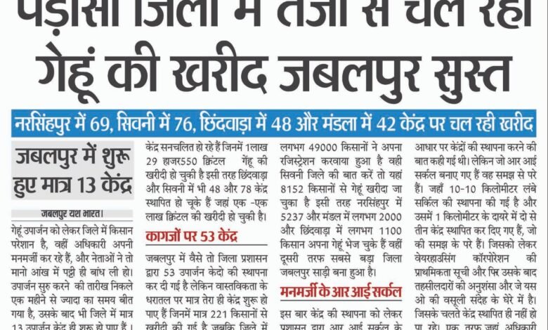किसान परेशान, अधिकारी बेलगाम, नेता खामोश पड़ोसी जिलों में तेजी से चल रही गेहूं की खरीद जबलपुर सुस्त 1 WhatsApp Image 2025 04 17 at 4.26.34 PM