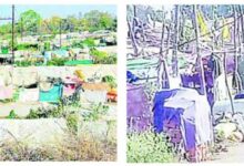 WhatsApp Image 2025 04 19 at 7.00.10 AM 1