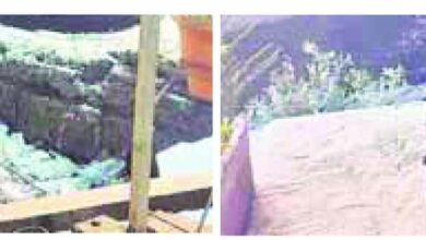 WhatsApp Image 2025 04 19 at 7.05.27 AM 1