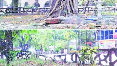 WhatsApp Image 2025 04 19 at 7.05.27 AM