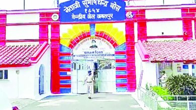 WhatsApp Image 2025 04 20 at 1.48.53 PM