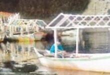 WhatsApp Image 2025 04 24 at 1.28.22 PM