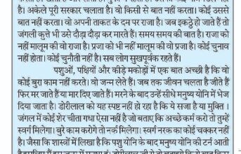 WhatsApp Image 2025 04 29 at 4.20.11 PM