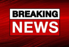 MURDER : नाबालिक का खेत में खून से सना हुआ मिला शव : सिर पर पत्थर से वार के निशान; शादी समारोह में गया था, नहीं लौट सका घर... घटना से क्षेत्र में हड़कंप 11 images 1