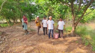 यशभारत कहानी: अकेले शख्स ने बदली 20 बंजर पहाड़ियों की किस्मत 17 od bam educationalist sudhir creating forest through seed ball from his own invest spl story 7205524 26042025020202 2604f 1745613122 747