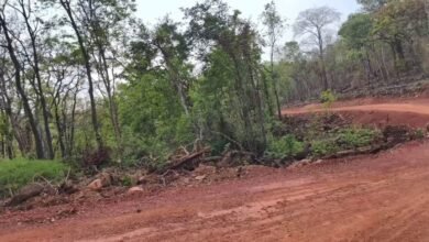 1200 675 24213008 thumbnail 16x9 img