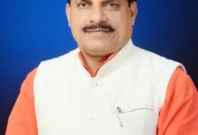 भगवान बिरसा मुंडा शासकीय महाविद्यालय का आज मुख्यमंत्री करेंगे लोकार्पण : जवा मुख्यालय को मिल सकता है नगर परिषद का दर्जा 11 IMG 20250515 091608