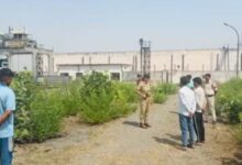 नहर में मिला 3 दिन बाद प्रधान आरक्षक का शव : मच गया हड़कंप 10 IMG 20250517 174025