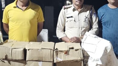 Screenshot 2025 05 31 19 42 49 628 com.whatsapp