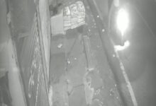 WhatsApp Image 2025 05 01 at 1.37.48 PM