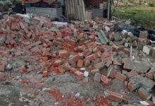 WhatsApp Image 2025 05 22 at 14.04.01