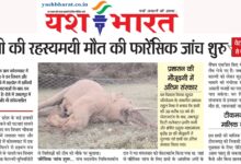 WhatsApp Image 2025 05 23 at 7.35.04 AM hanthi