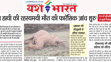 WhatsApp Image 2025 05 23 at 7.35.04 AM hanthi