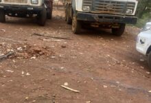 WhatsApp Image 2025 05 30 at 1.31.54 PM