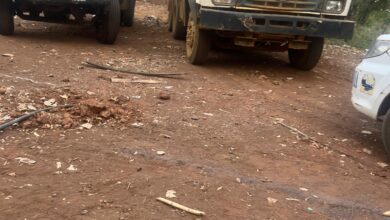 WhatsApp Image 2025 05 30 at 1.31.54 PM