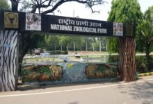 दिल्ली चिड़ियाघर का बड़ा कदम: पेपरलेस हुआ कामकाज, 15 del ndl 01 delhi zoo paperless green office vis 7211962 18052025111611 1805f 1747547171 678