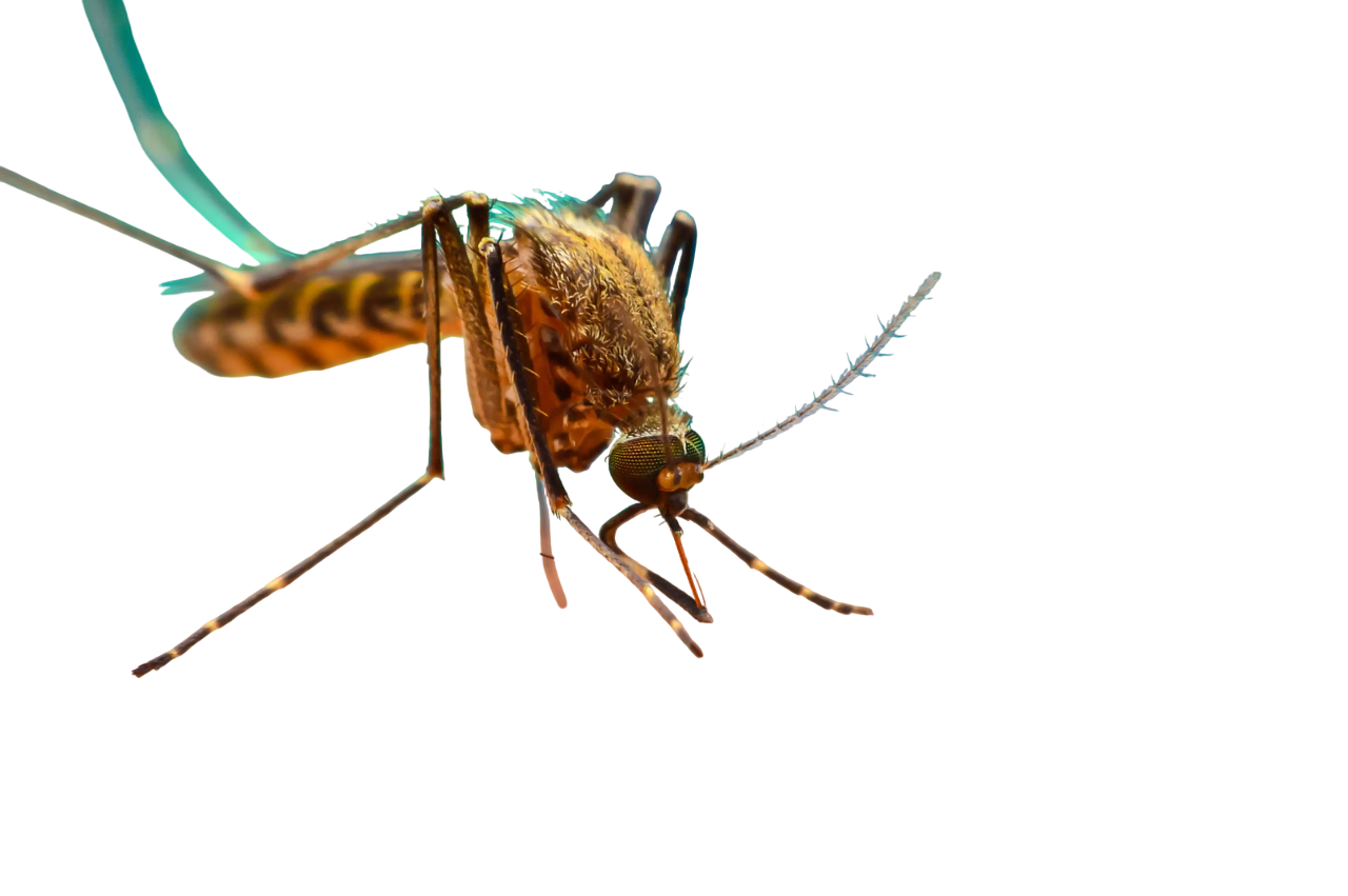 navbharat times Photoroom