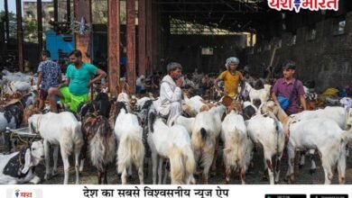 बकरीद 2025 के लिए दिल्ली और मध्य प्रदेश सहित कई राज्यों में एडवाइजरी जारी की गई है... दिल्ली में गाय, ऊंट जैसे प्रतिबंधित जानवरों की कुर्बानी पर रोक है. 8 06 4