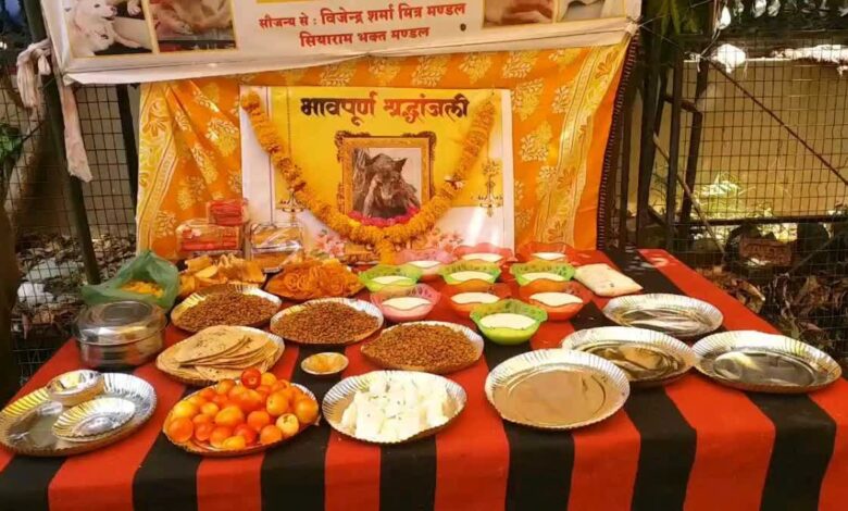 1200 675 24287256 thumbnail 16x9 img