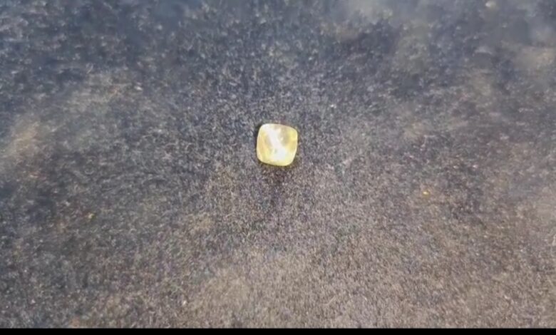 पन्ना में किसान को ग्राम सरकोहा खेत खदान में मिला 3.01 कैरेट का बेसकीमती हीरा 1 IMG 20250616 174809