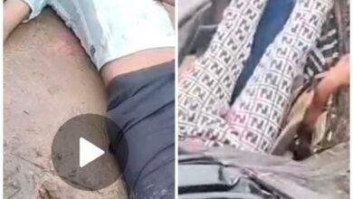 भोपाल: एयरपोर्ट रोड पर भीषण सड़क हादसा, तेज रफ्तार स्कॉर्पियो पलटी 9 IMG 20250622 143350