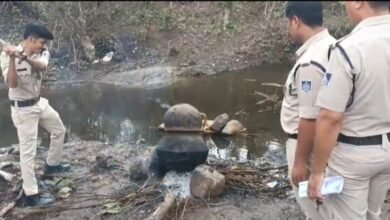 शराब तस्करों पर पुलिस की दबिश : गैंग फरार..... महुआ लाहन किया नष्ट 10 IMG 20250629 162709