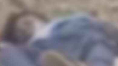 Screenshot 2025 06 06 21 08 57 301 com.whatsapp