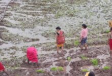 Screenshot 2025 06 30 18 33 45 056 com.whatsapp