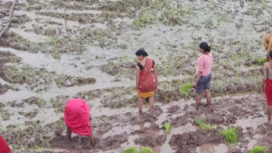 Screenshot 2025 06 30 18 33 45 056 com.whatsapp