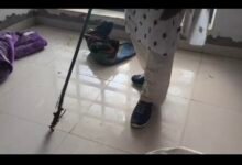 मेडिकल अस्पताल जबलपुर के गर्ल्स हॉस्टल नम्बर 04 में छात्रा के कक्ष में निकला डेढ़ फीट लंबा बुल्फ स्नेक... वीडियो देखे... 11 Screenshot 2025 0605 211827